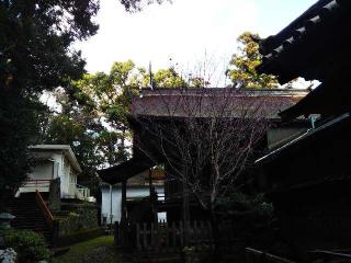 厳原八幡宮神社の参拝記録(おちゃめオヤジさん)