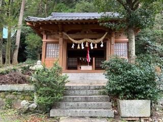 厳原八幡宮神社の参拝記録(堀田秀吉さん)