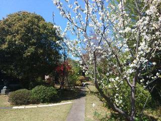 無量山大経寺の参拝記録(しんのすけさん)