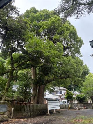 住吉神社の参拝記録(Nabeさん)