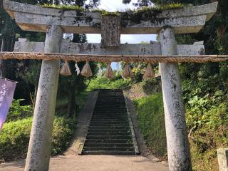 箱崎八幡神社の参拝記録(つかぼんさん)