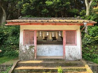 箱崎八幡神社の参拝記録(つかぼんさん)