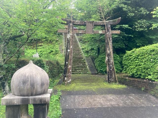 箱崎八幡神社の参拝記録(田中さん)