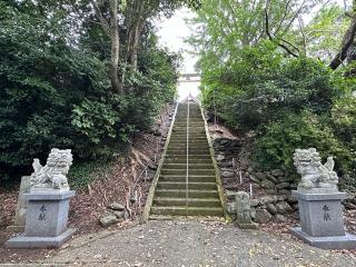 天手長男神社の参拝記録(笹だんごさん)