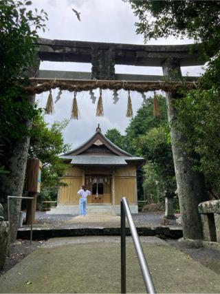 天手長男神社の参拝記録(2224さん)