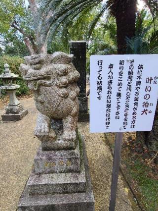 今福神社の参拝記録(風祭すぅさん)