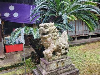 今福神社の参拝記録(飛成さん)