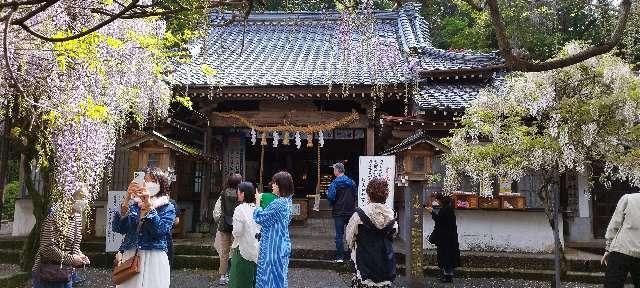 藤山神社の参拝記録(たにやんさん)