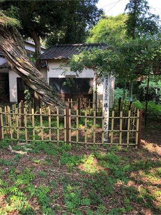 藤山神社の参拝記録(ようさん)