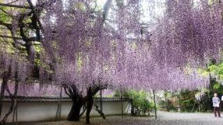 藤山神社の参拝記録(マツゲンさん)