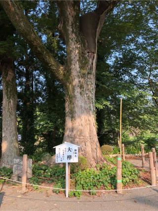白岳神社の参拝記録(ようさん)