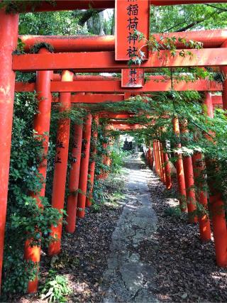 祝詞神社の参拝記録(ようさん)