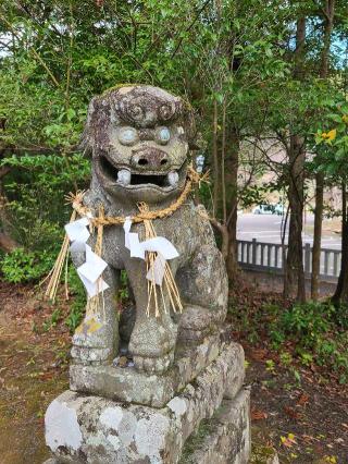 春日神社の参拝記録(風祭すぅさん)