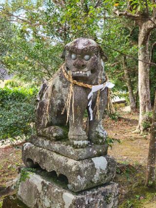 春日神社の参拝記録(風祭すぅさん)