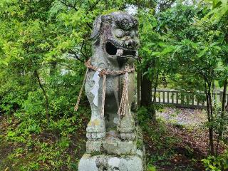 春日神社の参拝記録(飛成さん)