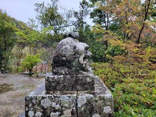 松島神社の参拝記録(飛成さん)
