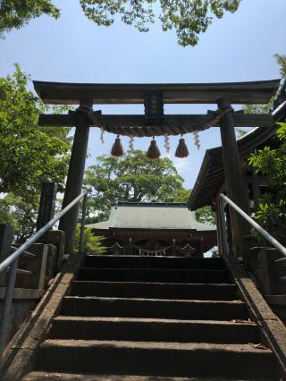 松原八幡神社の参拝記録(まつみんさん)