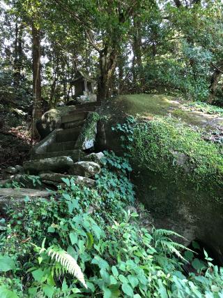 大神宮神社の参拝記録(まつみんさん)