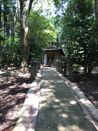 琴平神社の参拝記録(まつみんさん)