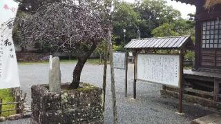 大村神社の参拝記録(おちゃめオヤジさん)