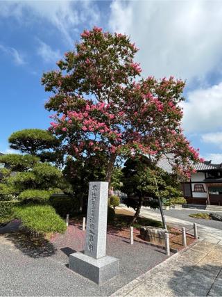 慈眼山 圓通寺の参拝記録(ほーリンさん)