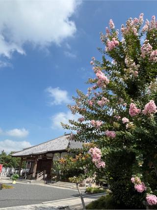 慈眼山 圓通寺の参拝記録(ほーリンさん)