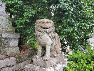 戸町神社の参拝記録(飛成さん)