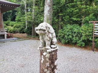 矢上神社の参拝記録(飛成さん)