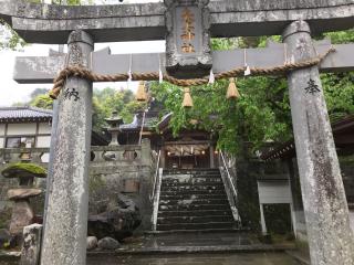 矢上神社の参拝記録(ソルトさん)