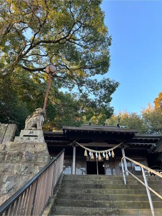 大浦諏訪神社の参拝記録(ふうりんパパさん)