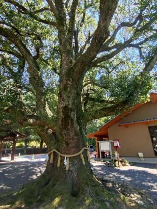 橘神社の参拝記録(喫煙者さん)