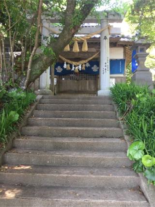 諏訪神社の参拝記録(Takeru Yamatoさん)