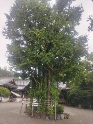 健軍神社の参拝記録(ひらちゃんさん)