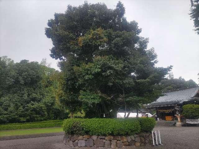 健軍神社の参拝記録7