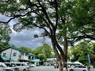 加藤神社の参拝記録(じゃすてぃさん)