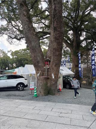 加藤神社の参拝記録(たささん)