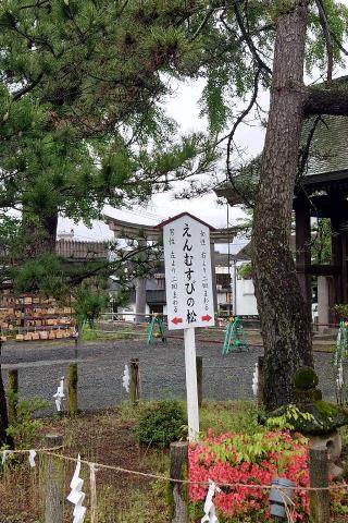 阿蘇神社（肥後国一宮）の参拝記録(すぐちゃんさん)