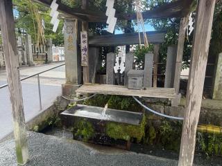 阿蘇神社（肥後国一宮）の参拝記録(なぁごさん)