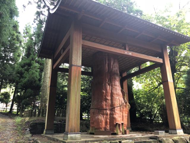 熊本県阿蘇市一の宮町手野2110 国造神社の写真2