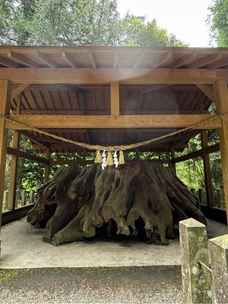 国造神社の参拝記録(ほちさん)