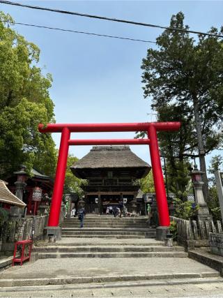 青井阿蘇神社の参拝記録(おかちゃんさん)