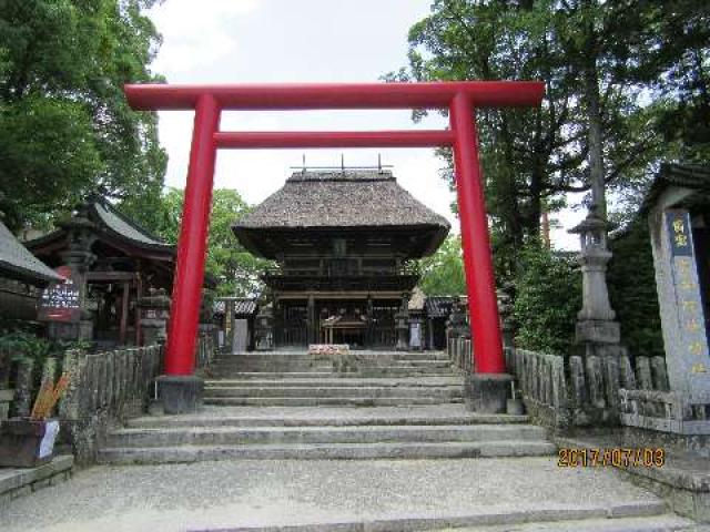 青井阿蘇神社の写真1