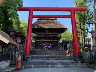 青井阿蘇神社の参拝記録(カレーライス倶楽部さん)