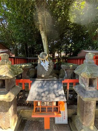 疋野神社の参拝記録(ほちさん)