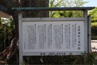 疋野神社の参拝記録(ドラゴンさん)