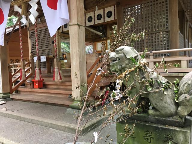 熊本県上益城郡山都町大野712 幣立神宮(日の宮)の写真4