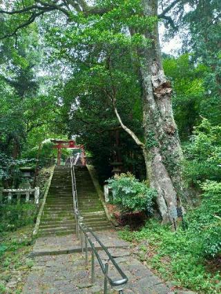 柞原八幡宮(豊後国一宮)由原八幡宮の参拝記録(daiさん)