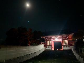 若宮八幡社（金鷹山）の参拝記録(kei- sugarさん)