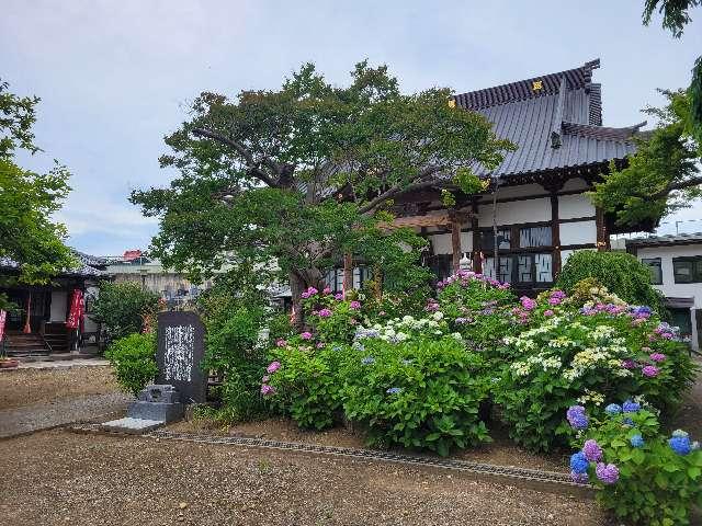 埼玉県富士見市水子5082 智永山 性蓮寺の写真2