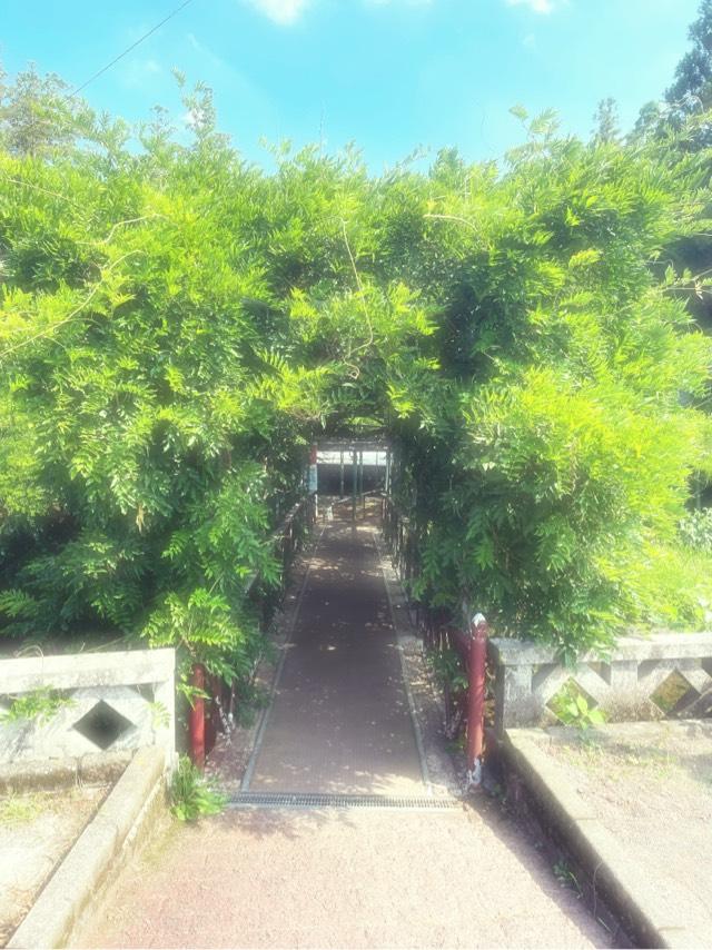 西寒田神社(西寒田)の写真1
